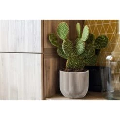 Capi Pflanztopf Groove Kugel Oval Elfenbein 17 Cm X 15 Cm -Online Gartenmöbel 113952 4091 03