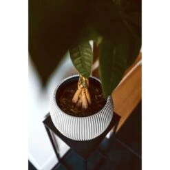 Capi Pflanztopf Groove Kugel Elfenbein 30 Cm X 25 Cm -Online Gartenmöbel 113957 4091 03