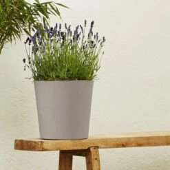 Poétic Pflanztopf Element Ø 40 Cm X 32 Cm Kalkstein -Online Gartenmöbel 173473 2984 3