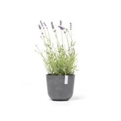 Ecopots Pflanztopf Oslo Mini Grau 19 Cm X 16,5 Cm -Online Gartenmöbel 529 11012100 Oslo19Grey 01