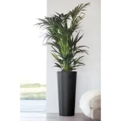 Ecopots Pflanztopf Amsterdam Hoch Dunkelgrau 70 Cm