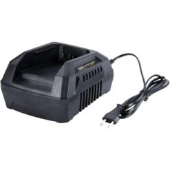 Texas Ladegerät 40 V Geeignet Für Texas Geräte