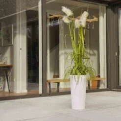 Siena Garden Pflanzgefäß Modern Lille Weiß Ø 25x46,5 Cm 12 Siena Garden Pflanzgefäß Modern Lille Weiß Ø 25x46,5 Cm -Online Gartenmöbel 8631400 1346 5