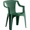 Gartenstuhl Luna Kunststoff Grün -Online Gartenmöbel 917 KunststoffStuhlLunagrn