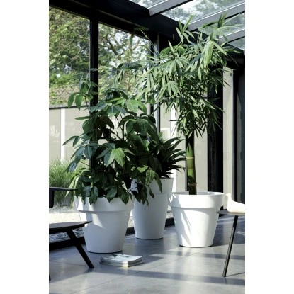 Elho Blumentopf Pure Ø 39 Cm Weiß 4 Elho Blumentopf Pure Ø 39 Cm Weiß – Bild 2