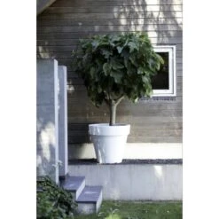 Elho Blumentopf Pure Ø 39 Cm Weiß 11 Elho Blumentopf Pure Ø 39 Cm Weiß -Online Gartenmöbel 966886 4667 03