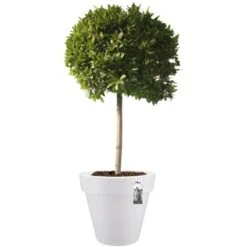 Elho Blumentopf Pure Ø 39 Cm Weiß 14 Elho Blumentopf Pure Ø 39 Cm Weiß -Online Gartenmöbel 966886 4667 06