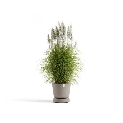 Ecopots Untersetzer Oslo Rollen Braungrau 41 Cm X 9,5 Cm 4 Ecopots Untersetzer Oslo Rollen Braungrau 41 Cm X 9,5 Cm – Bild 2